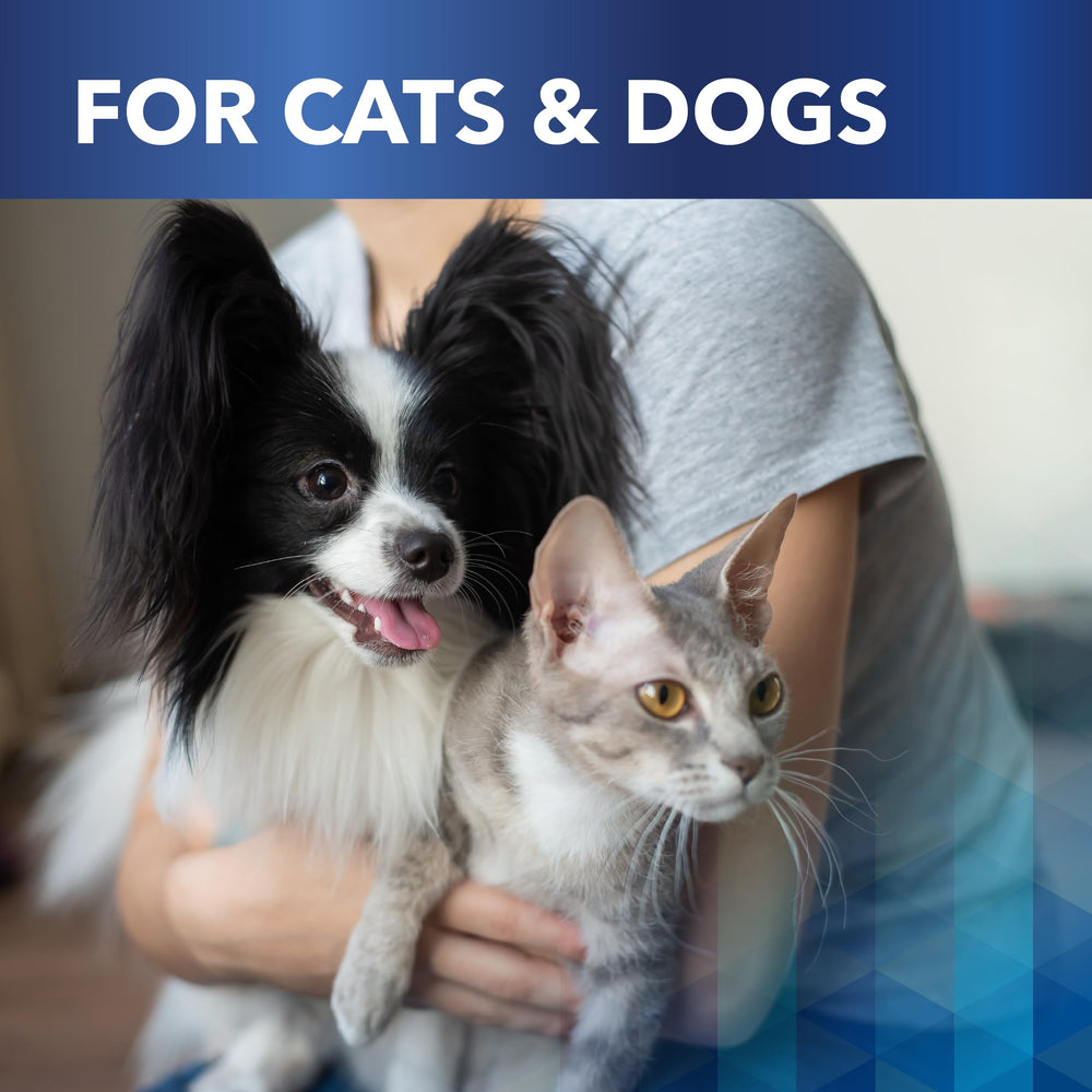Ceva Clenz-A-Dent chat ou chien mangeant repas saupoudré montrant utilisation quotidienne