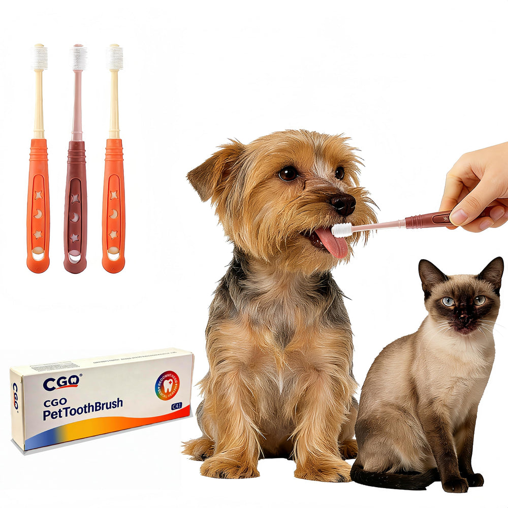 CGO brosse face avant montrant tête ronde pour nettoyage complet