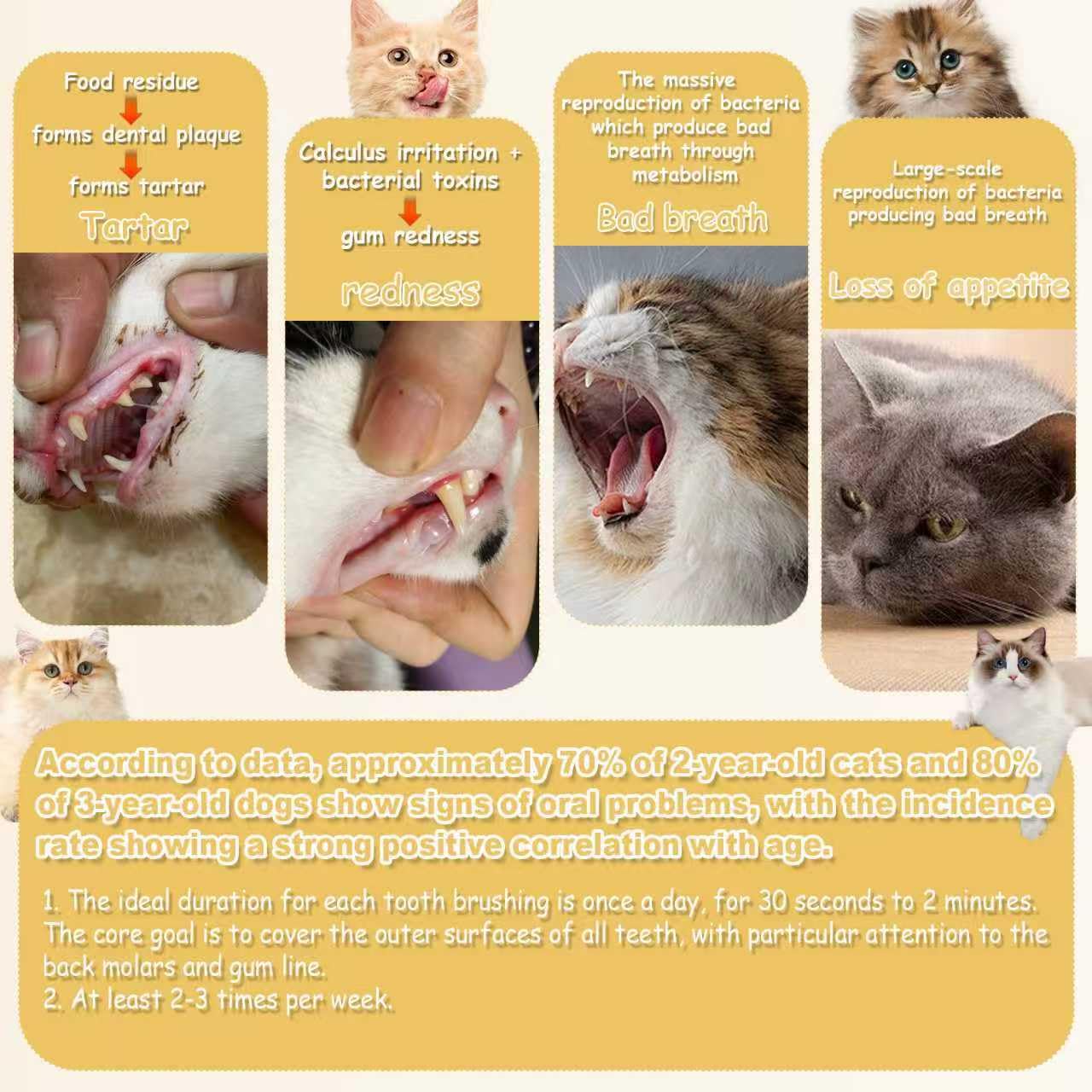 CGO pack de trois brosses orange et brun, idéal multi-animaux