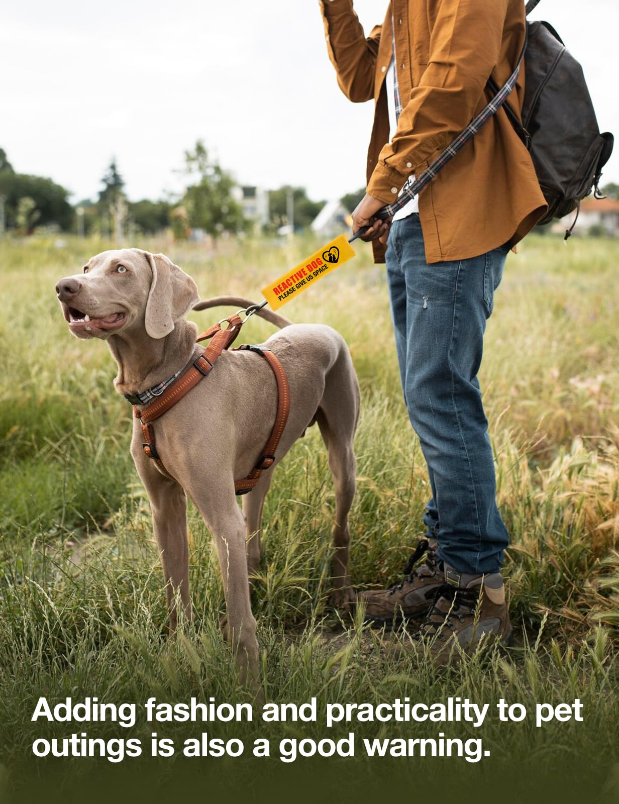 Cgvovgr manche en situation balade limitant le stress du chien