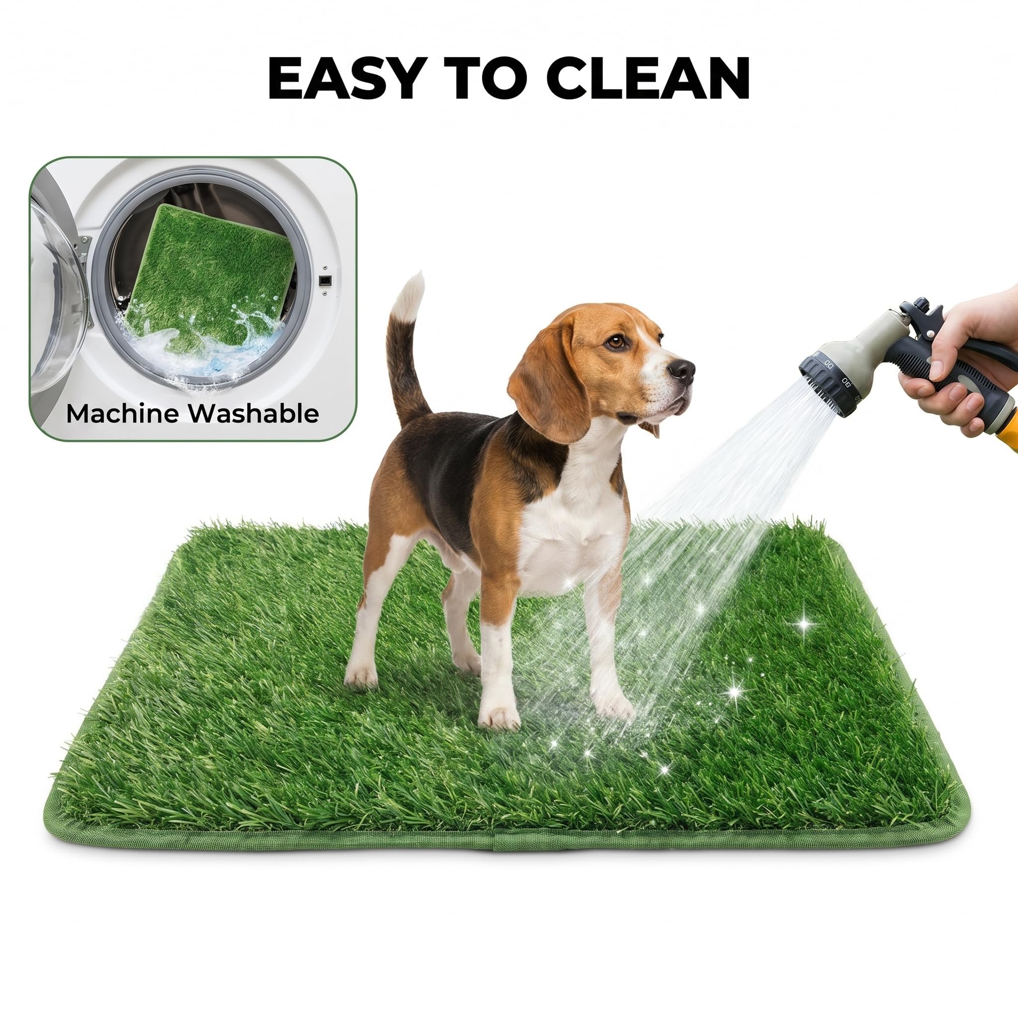 CH24Globall plateau à côté d’un chien pour comparaison d’échelle, dimension pratique