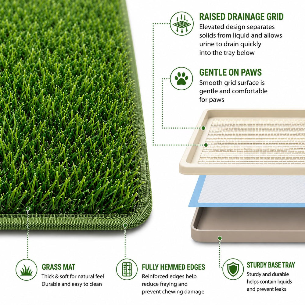 CH24Globall tapis avant et après lavage, maintien propreté et réutilisation simple