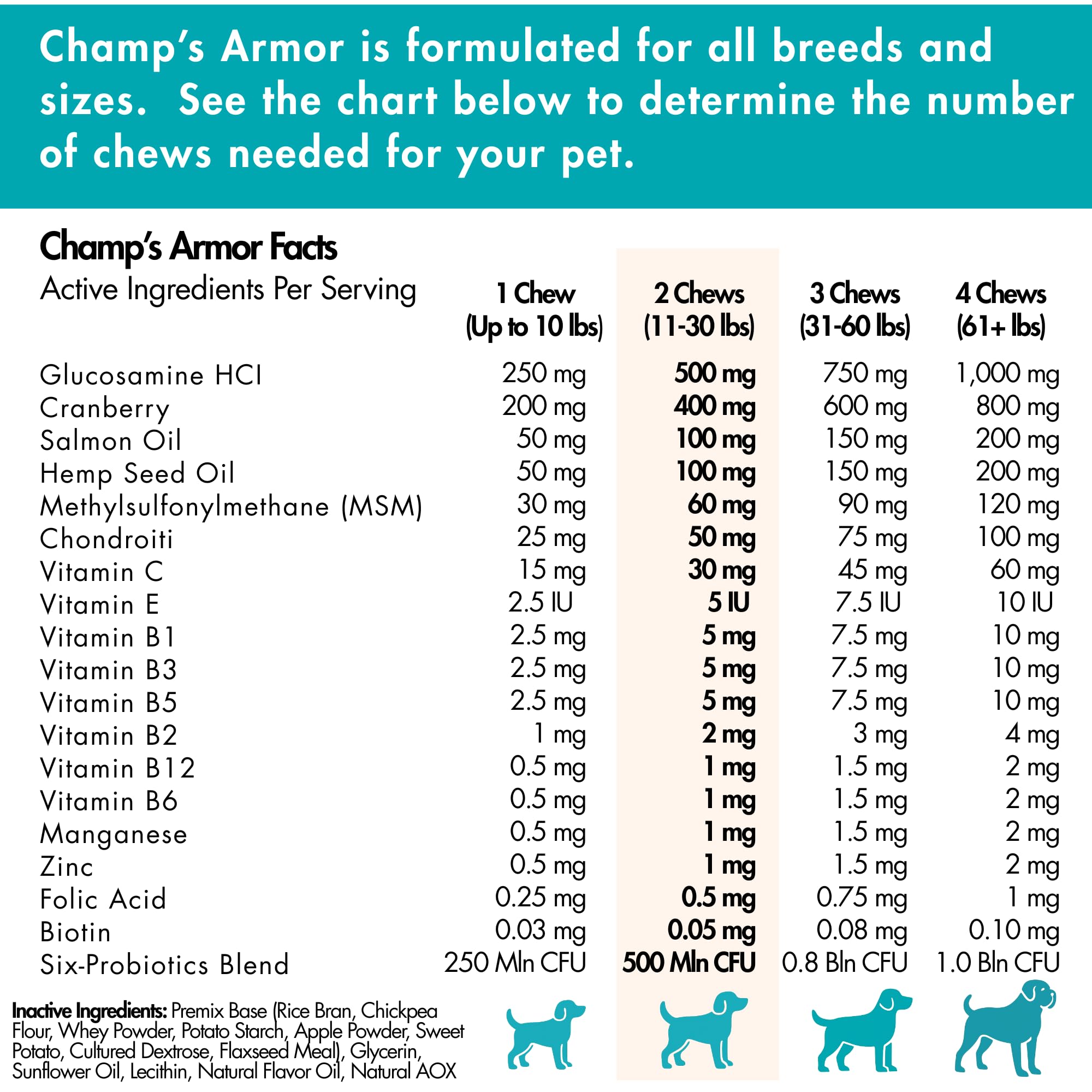 Champ's Armor chien mangeant friandise active mobilité et plaisir