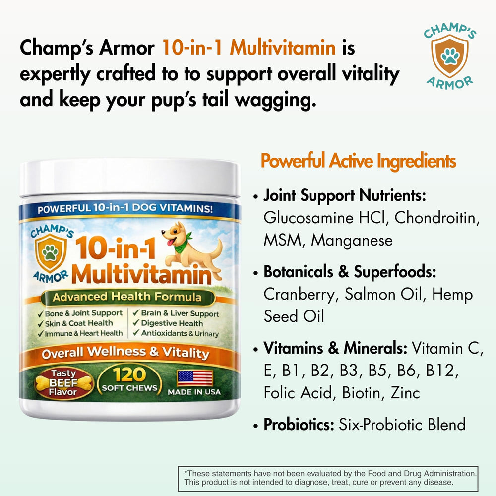 Champ's Armor gros-plan de la texture mastiquable favorisant appétence