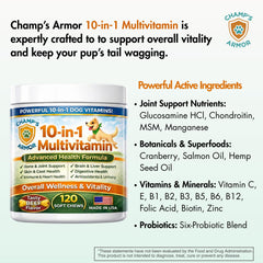 Champ's Armor gros-plan de la texture mastiquable favorisant appétence