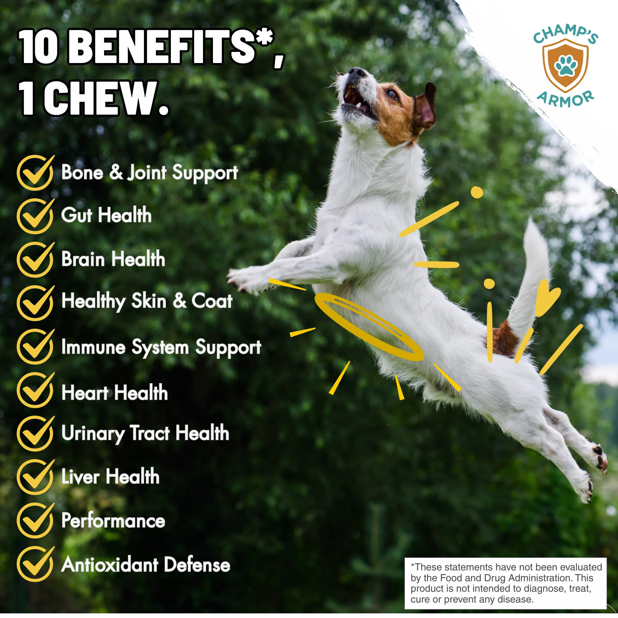Champ's Armor étiquette nutrition pour informations claires et dosage
