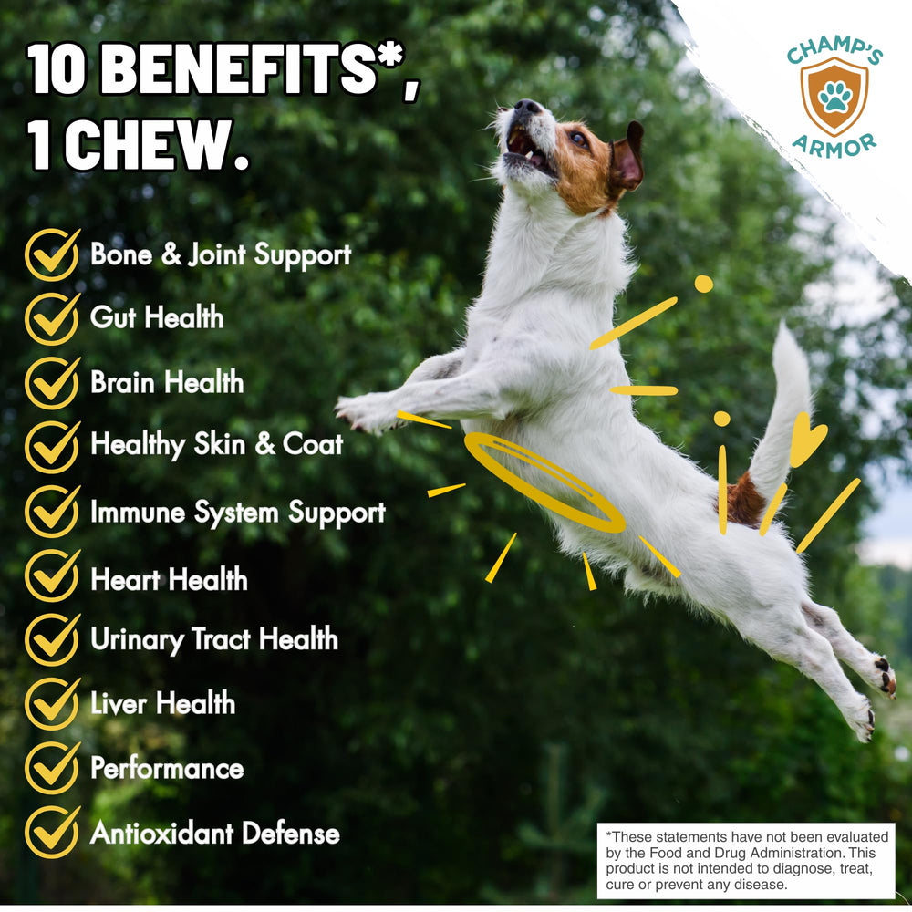 Champ's Armor étiquette nutrition pour informations claires et dosage