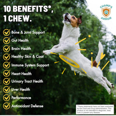 Champ's Armor étiquette nutrition pour informations claires et dosage