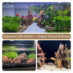 ChaoLeHo pierres intégrées dans aquarium avec plantes, améliore décor naturel