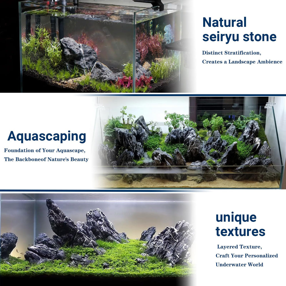 ChaoLeHo pierres Seiryu en aquarium créant reliefs et cachettes pour poissons