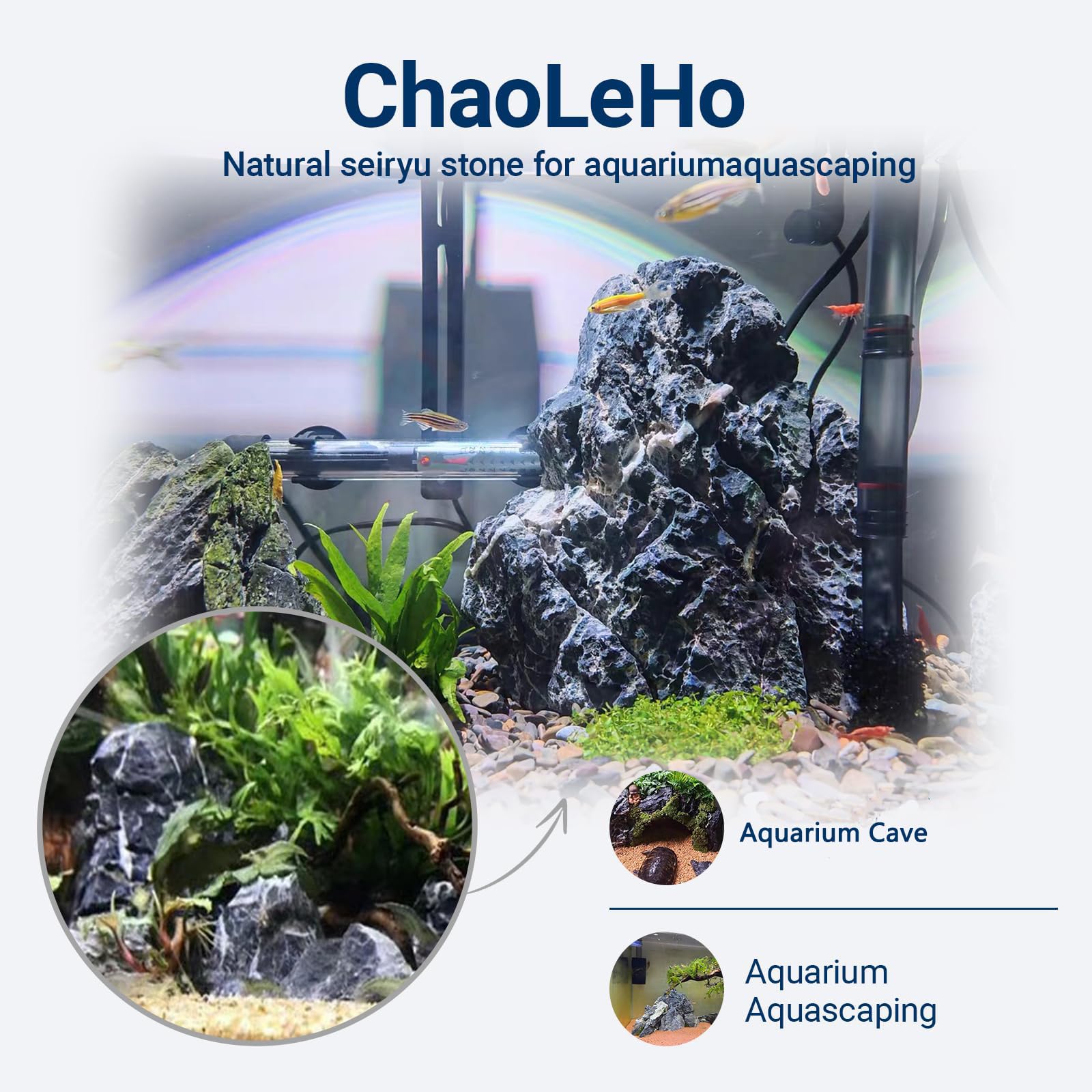 ChaoLeHo Seiryu gros plan sur texture naturelle pour esthétique détaillée