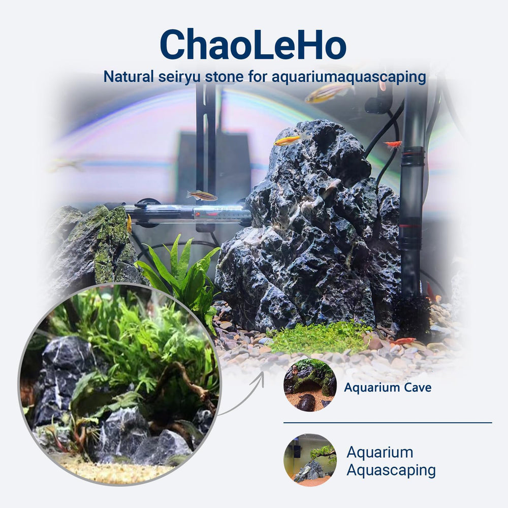 ChaoLeHo Seiryu gros plan sur texture naturelle pour esthétique détaillée