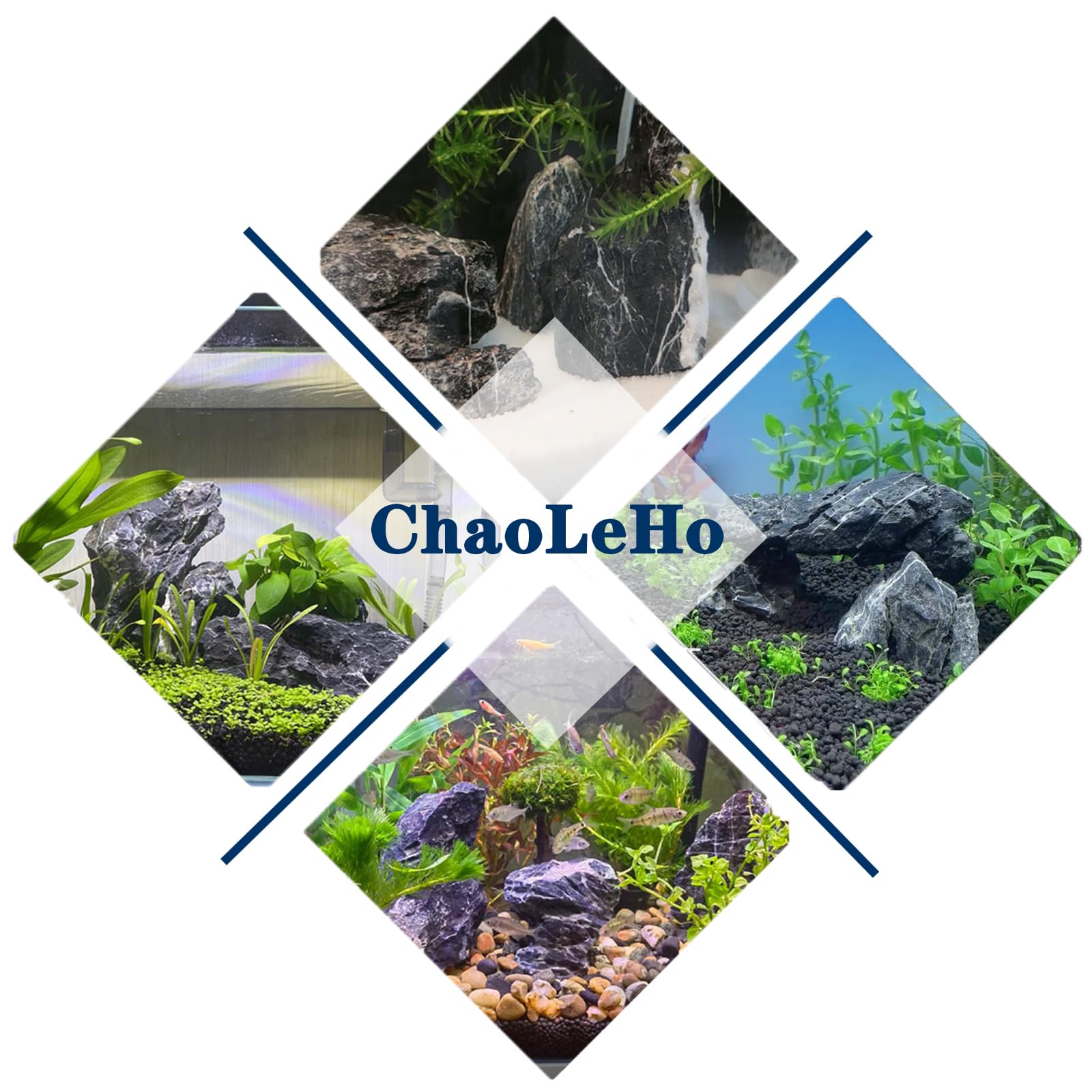 ChaoLeHo Seiryu formation de grottes montrant abris et complexité du décor