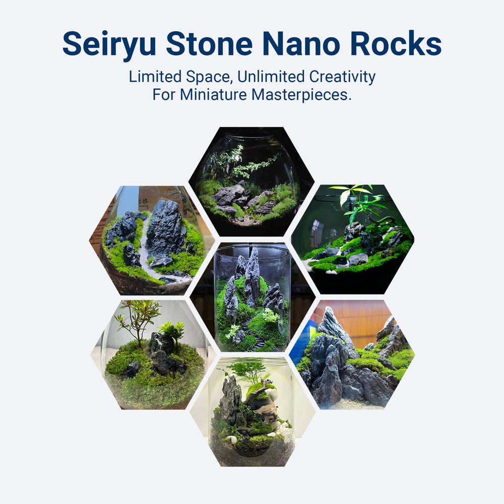ChaoLeHo assortiment Seiryu mélange tailles pour compositions variées