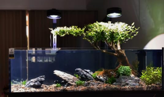 ChaoLeHo Seiryu décoration intérieure montrant intégration paysagère