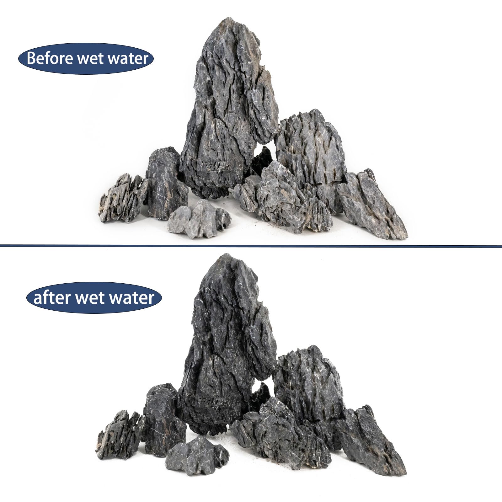 ChaoLeHo Seiryu profil affichant arêtes et formes pour structures stables