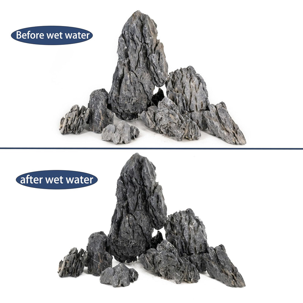 ChaoLeHo Seiryu profil affichant arêtes et formes pour structures stables