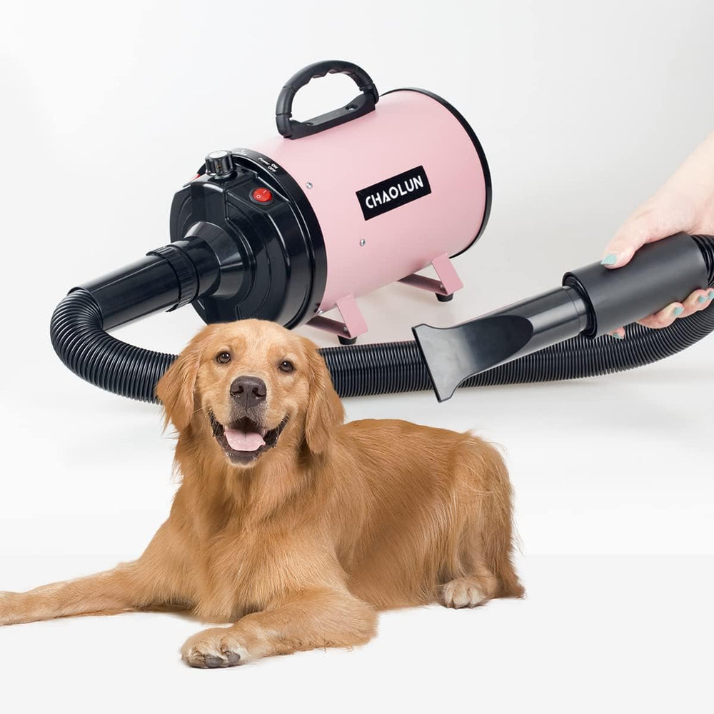 CHAOLUN tuyau flexible en usage sur un chien illustrant confort et distance sécurisée