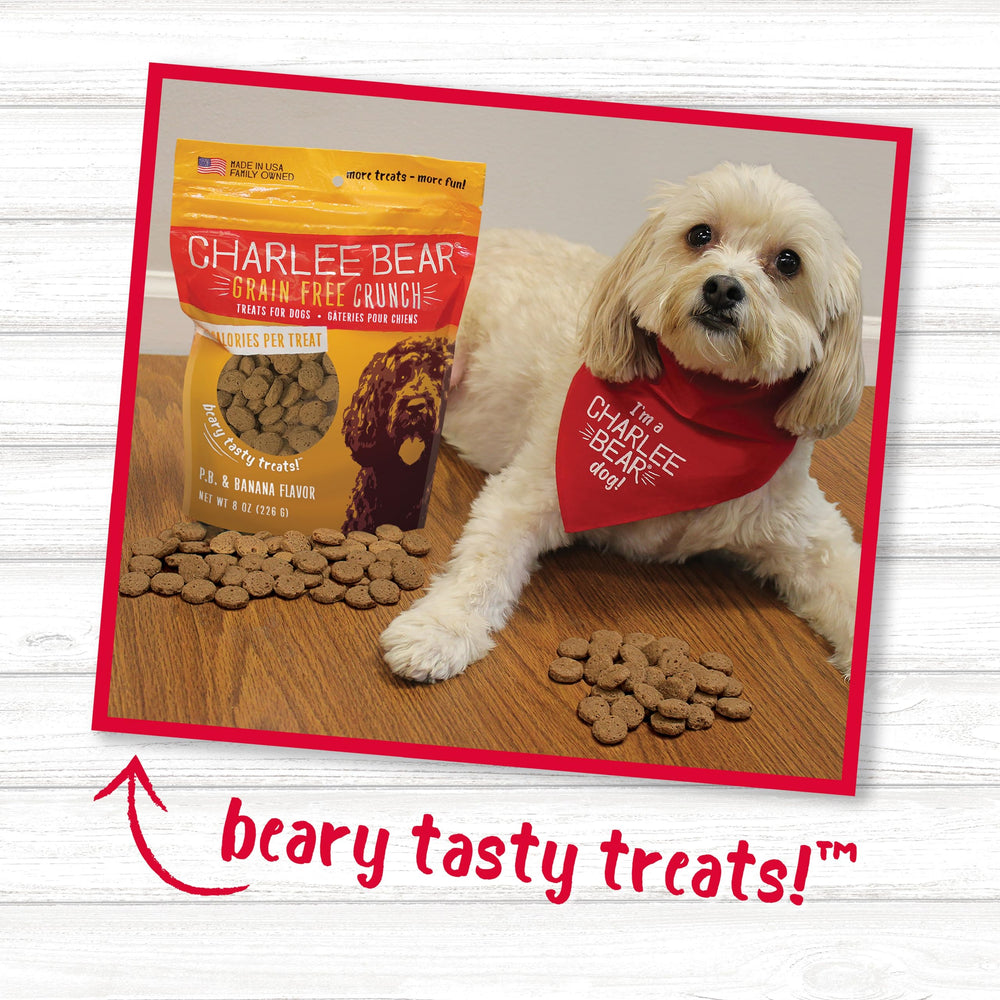 Charlee Bear friandises à côté d'une pièce pour comparer l'échelle pour petits chiens