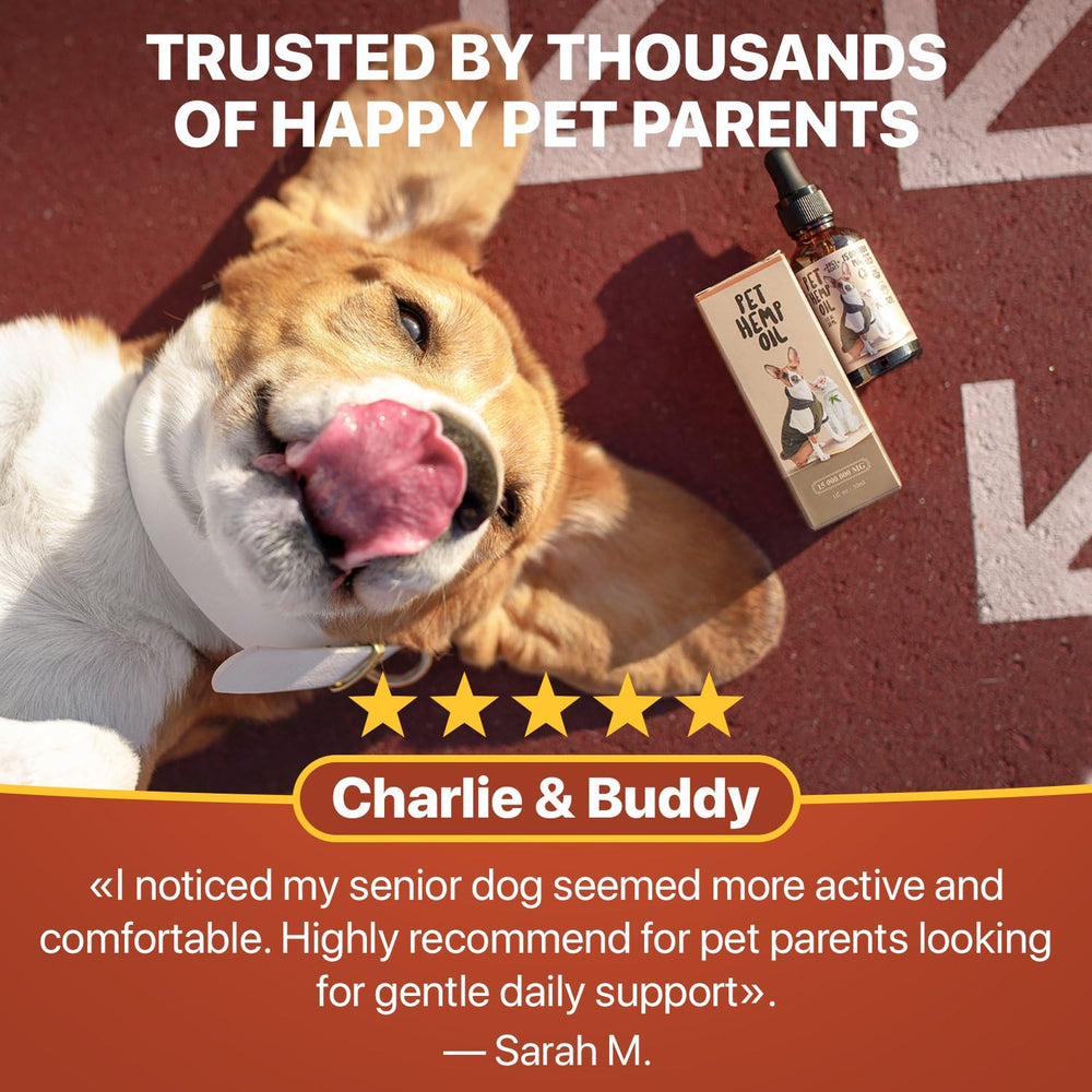 CHARLIE & BUDDY chien actif retrouvant mobilité et confort articulaire