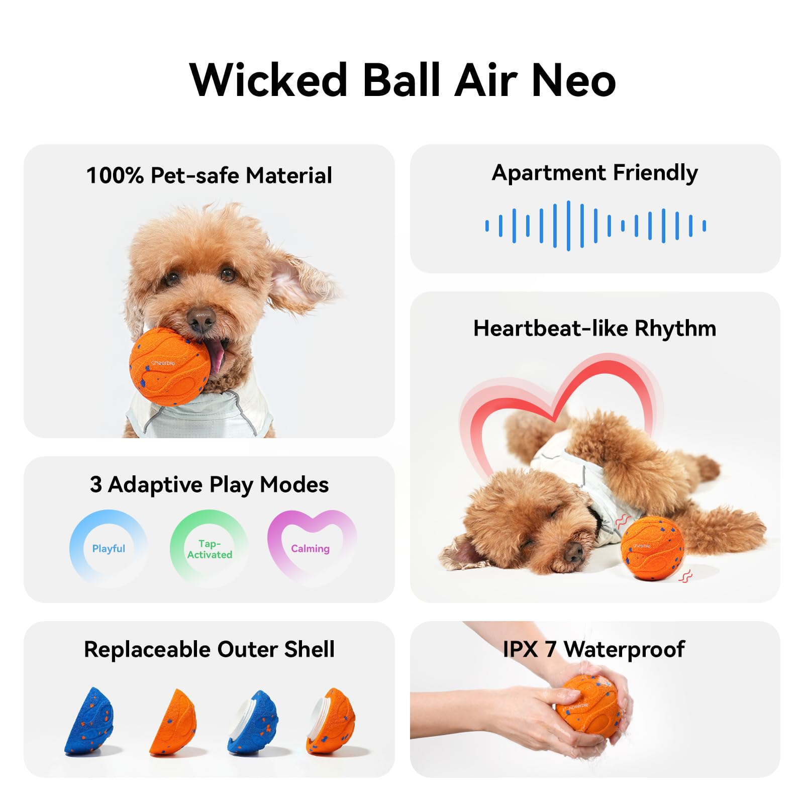 Chien jouant avec Cheerble Wicked Ball AIR Neo dans un salon, stimule l’activité