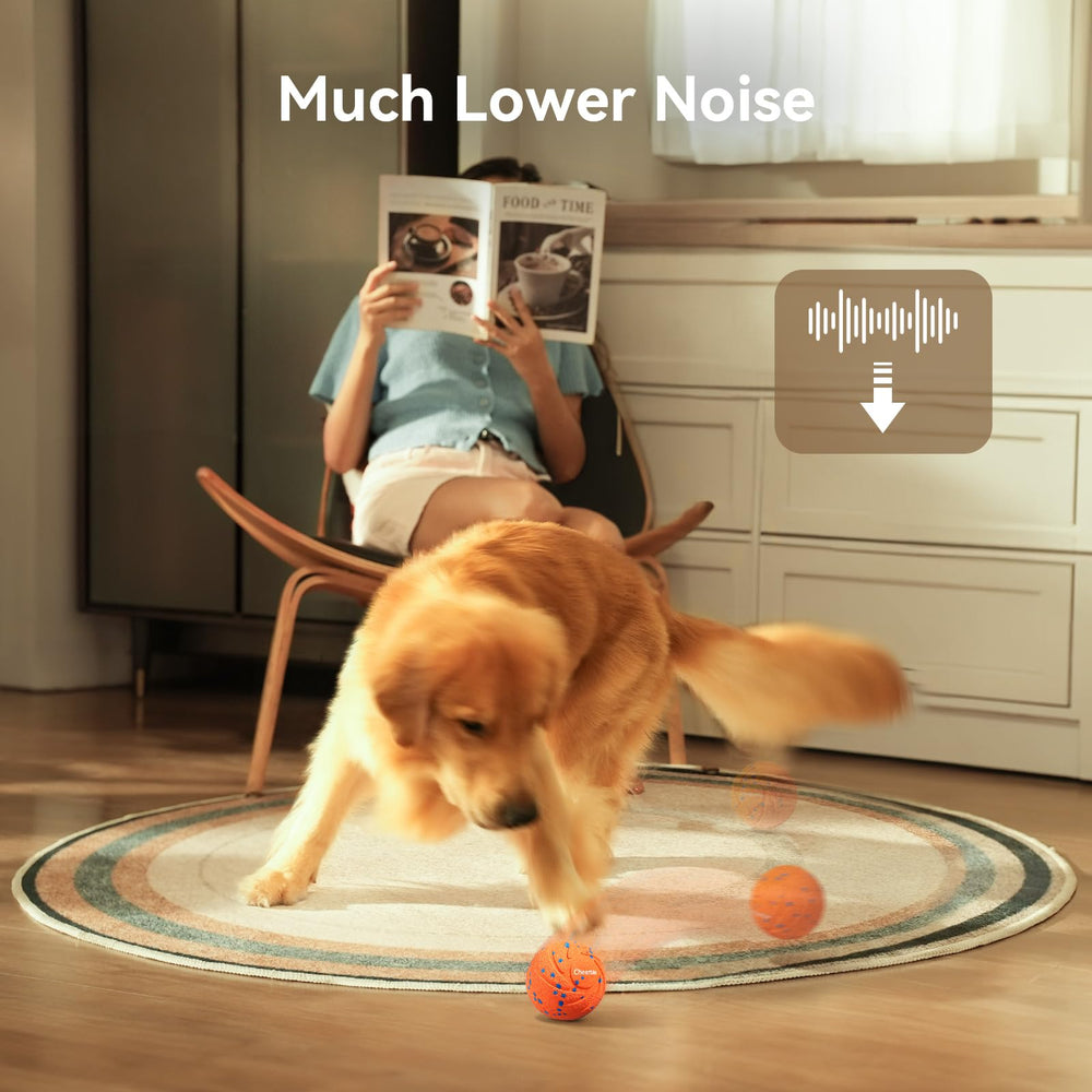 Cheerble scène lifestyle avec chien jouant, interaction renforcée