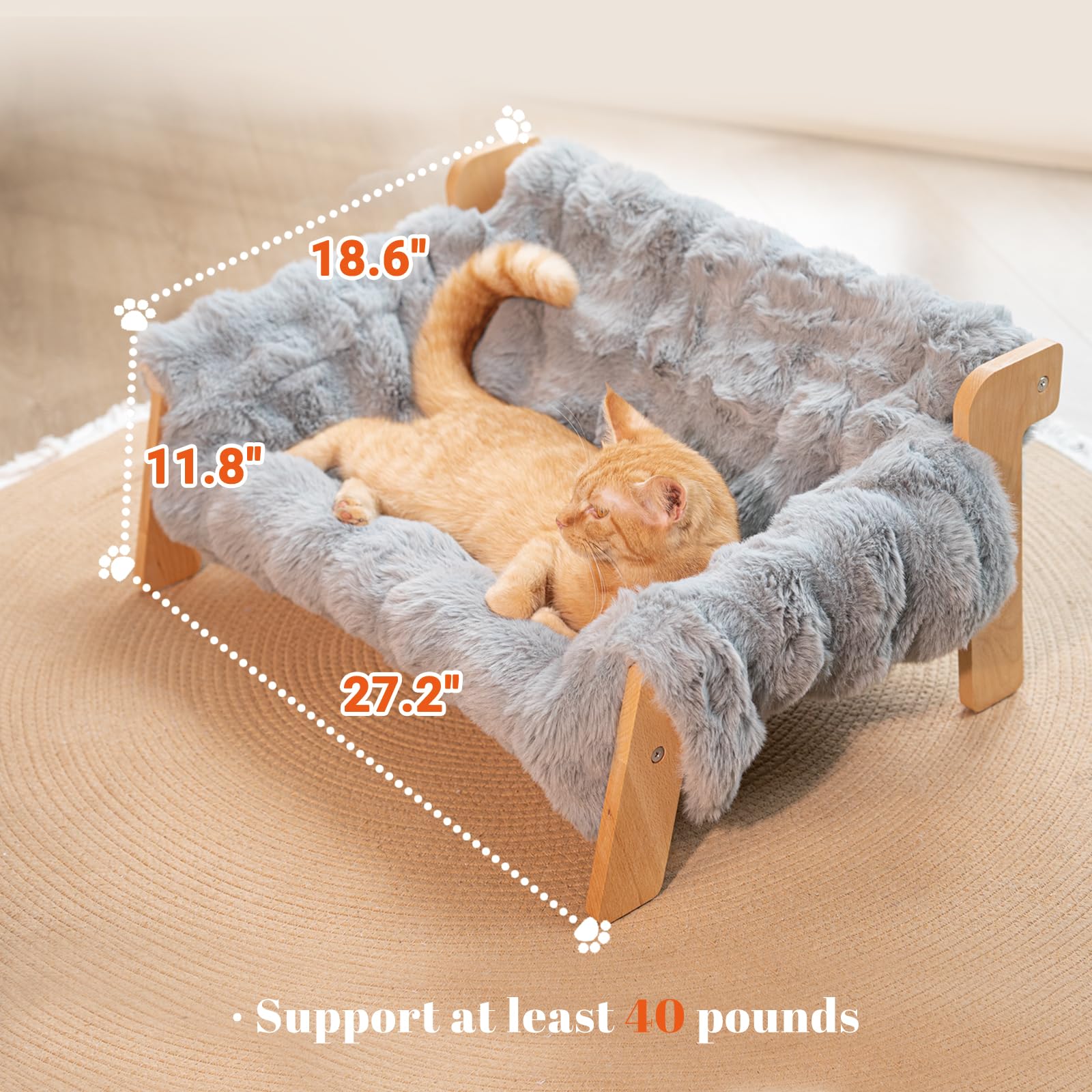 CHEERHOME PETS comparaison de taille avec objet quotidien pour évaluer dimensions