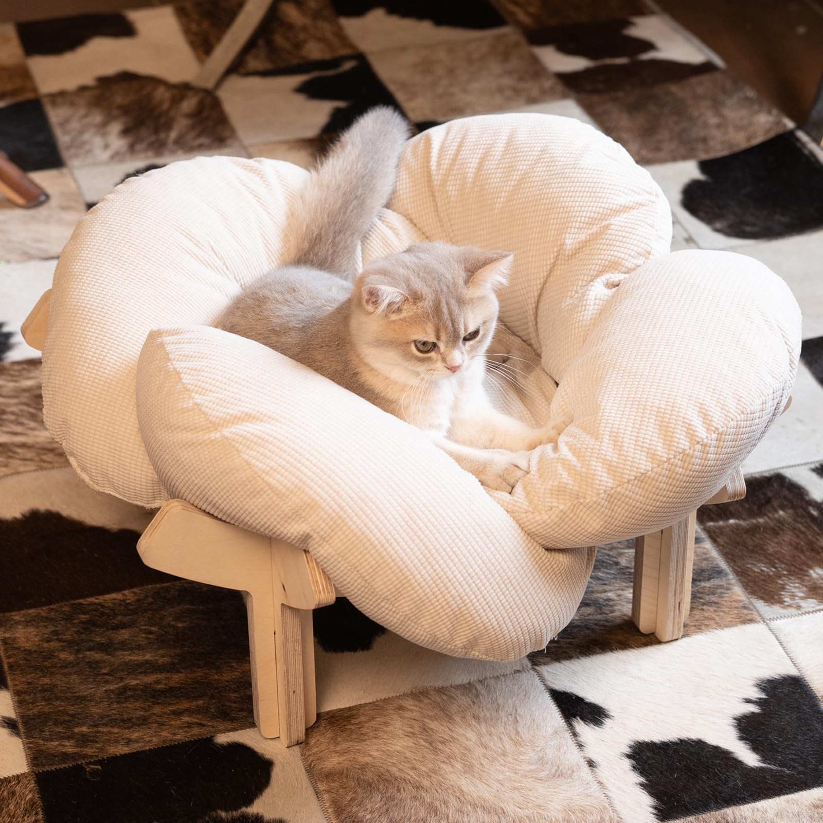 CHEERHOME PETS comparaison taille avec objet pour visualiser dimensions