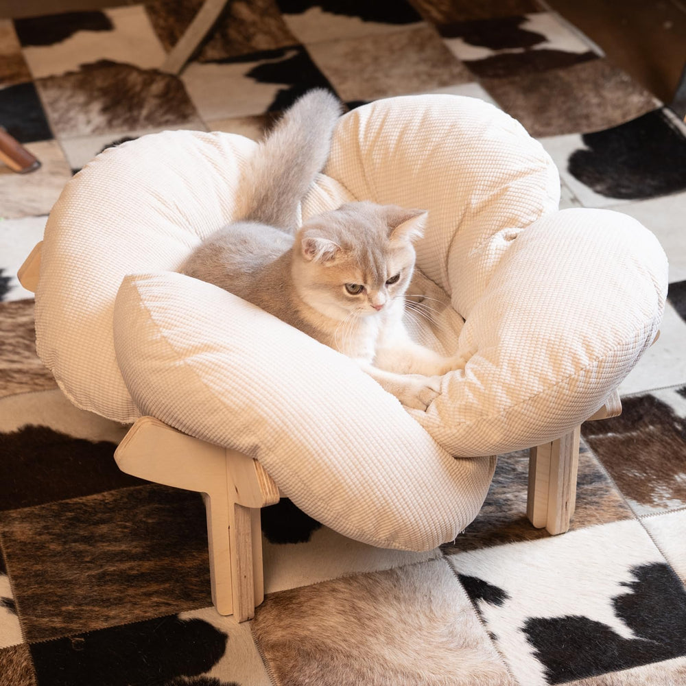 CHEERHOME PETS comparaison taille avec objet pour visualiser dimensions