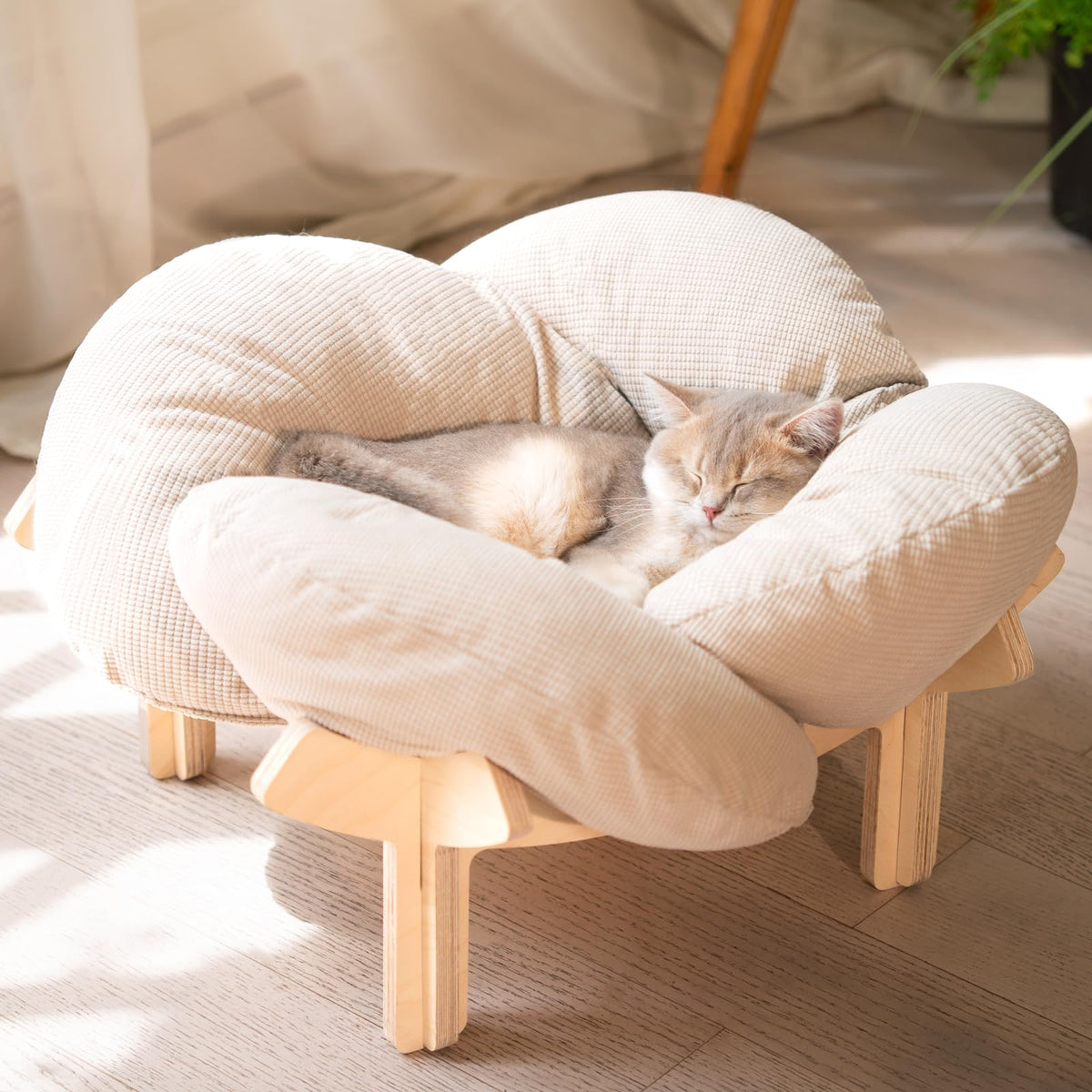 CHEERHOME PETS lit surélevé devant montrant design élégant et confort