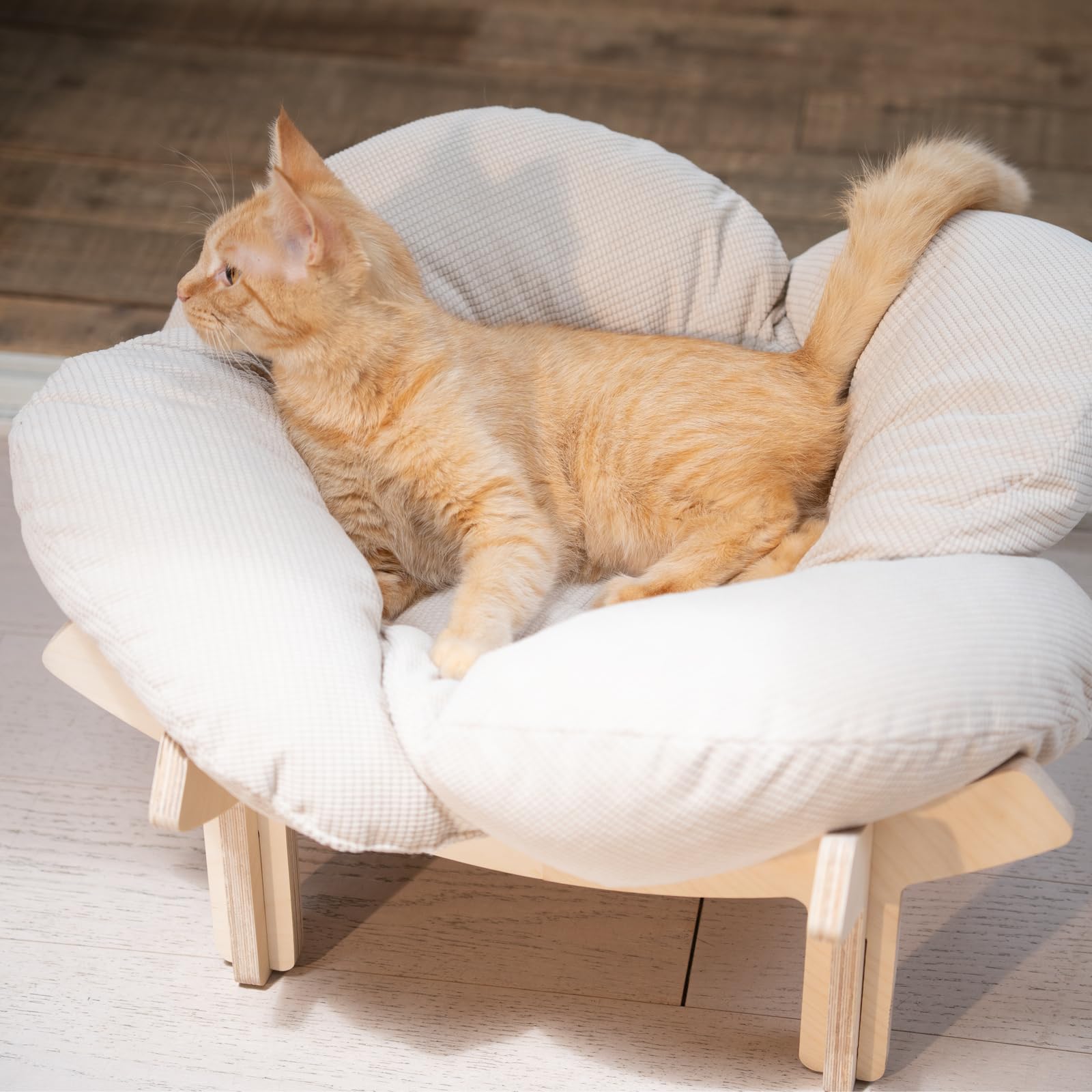 CHEERHOME PETS mise en scène salon montrant intégration décorative pratique