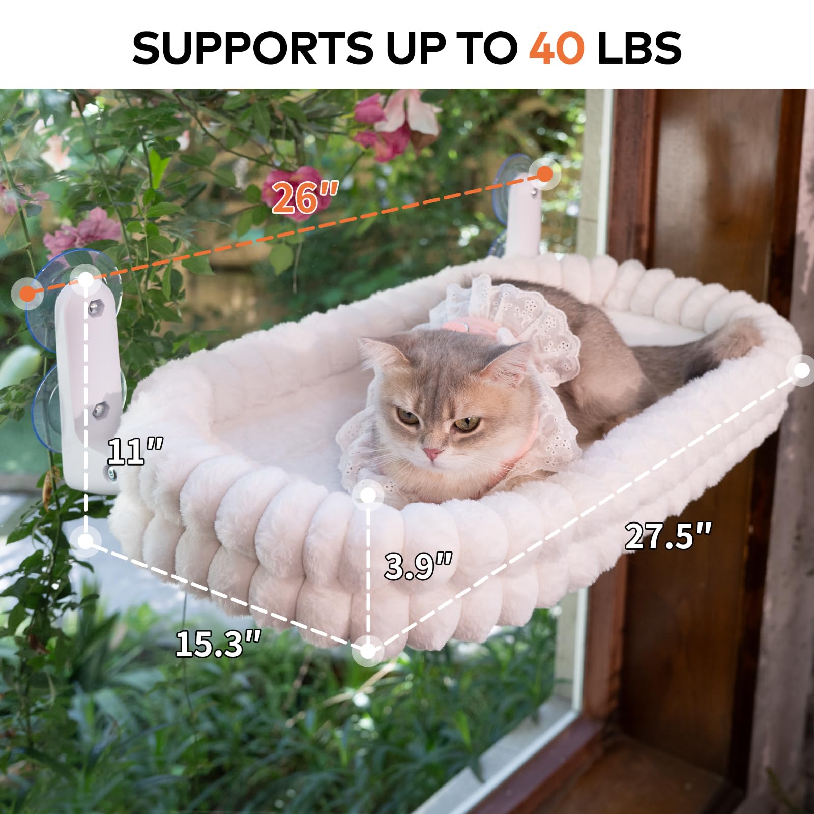 CHEERPALS bord relevé rembourré, soutien doux pour tête du chat