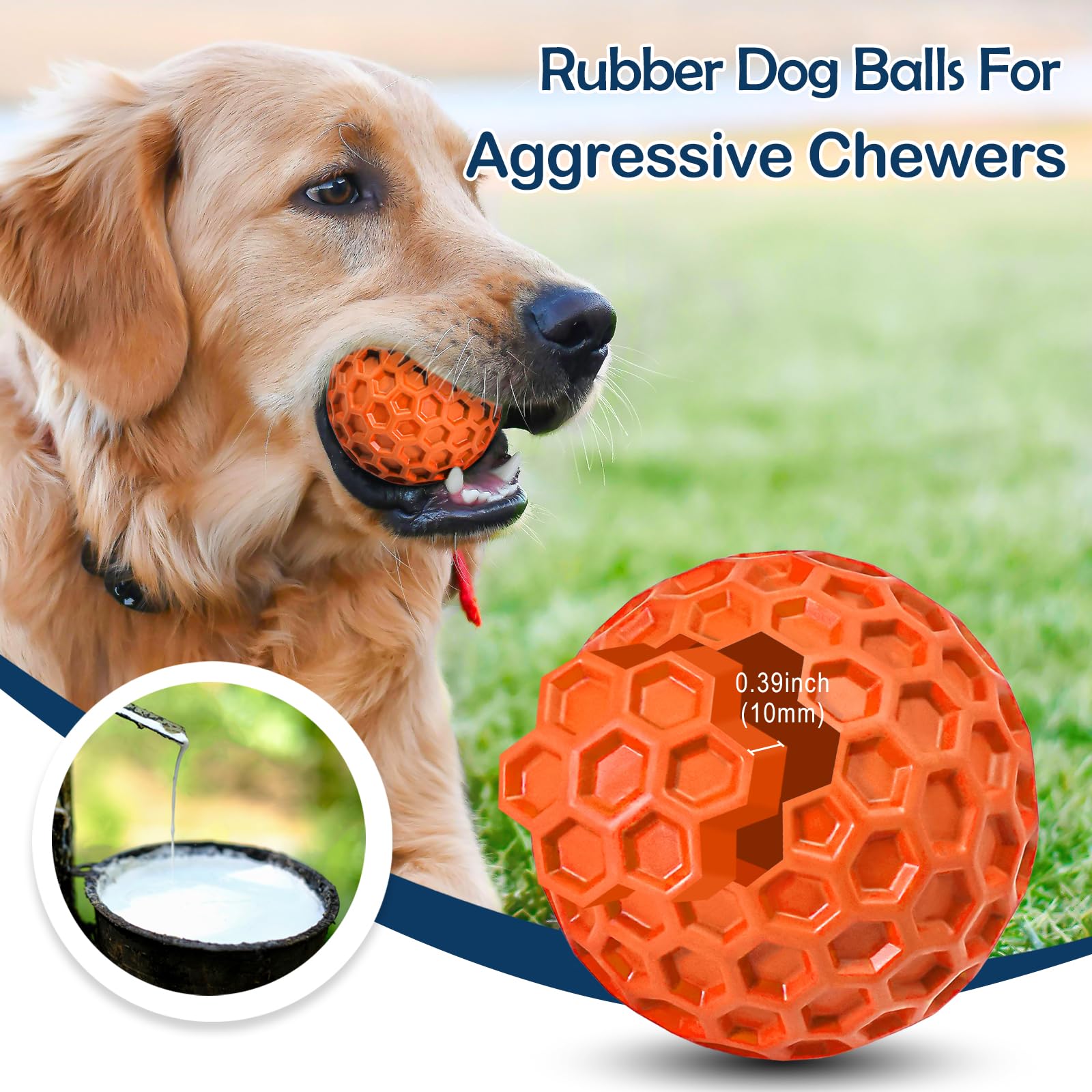 CHEODIN balle utilisée par chien en plein rapport pour stimulation active