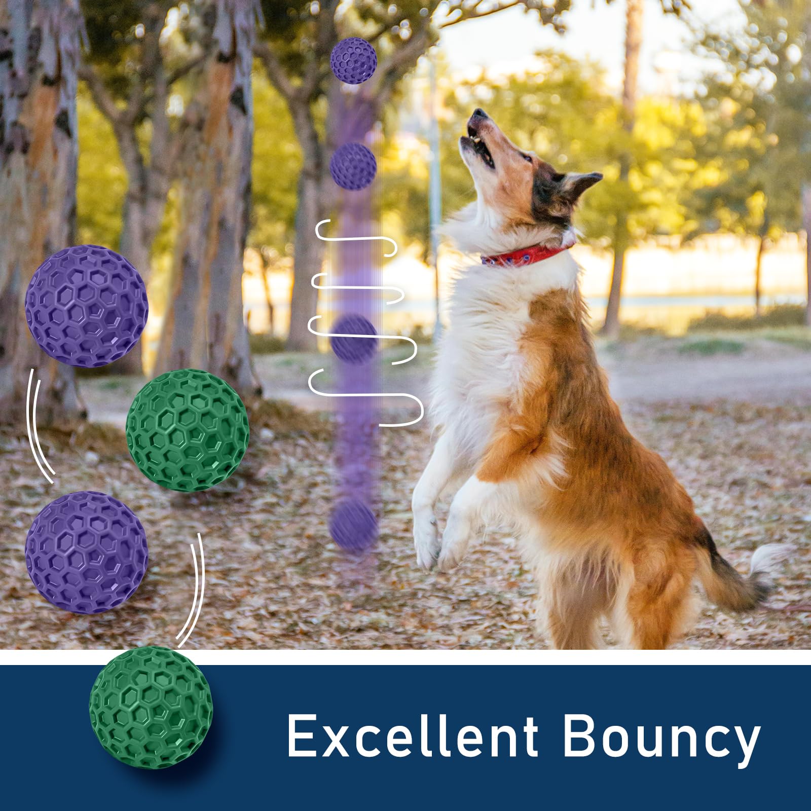 CHEODIN chien jouant heureux avec la balle, réduit ennui et anxiété