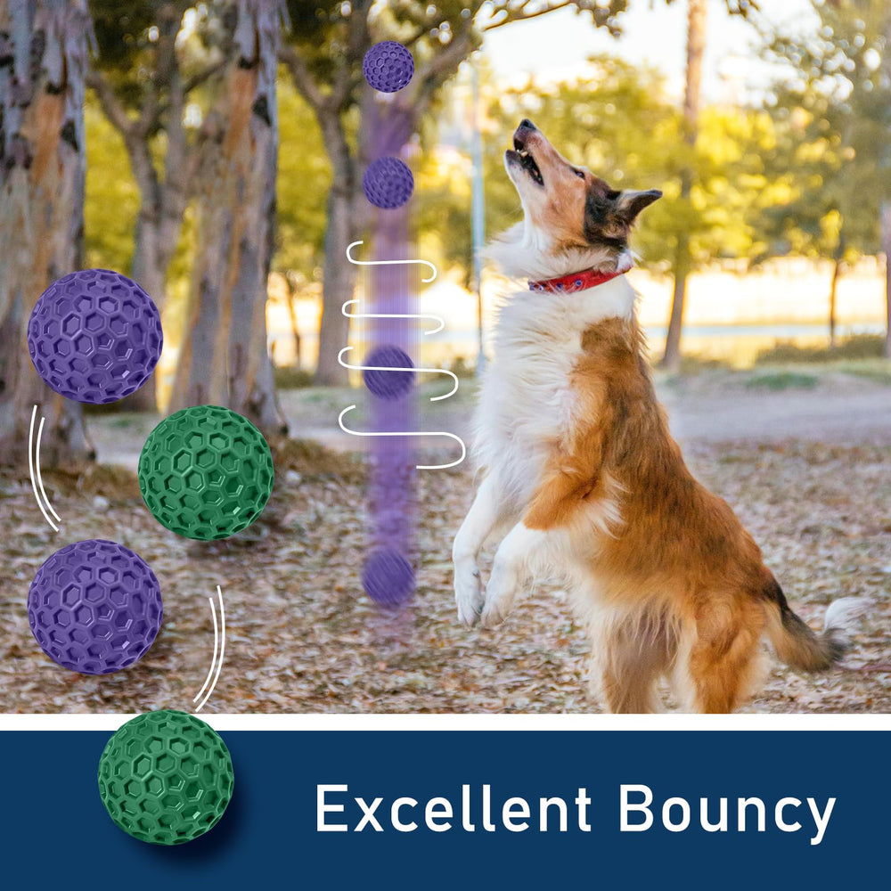 CHEODIN chien jouant heureux avec la balle, réduit ennui et anxiété