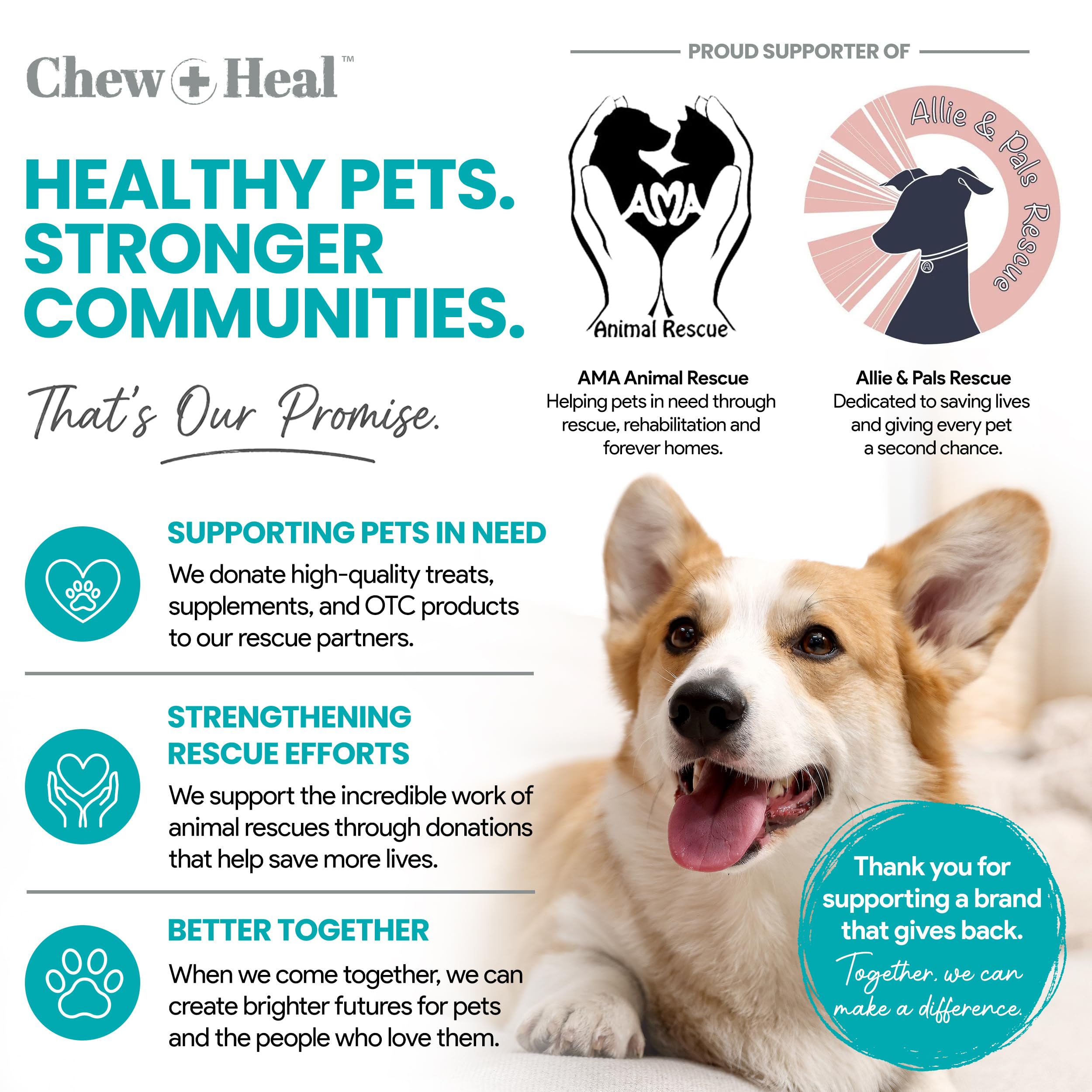 Chew + Heal Labs pot posé en cuisine illustrant usage quotidien