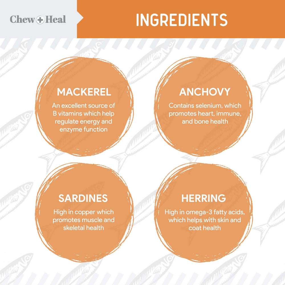 Chew + Heal Labs capsule molle gros plan montrant la texture et facilité d’administration