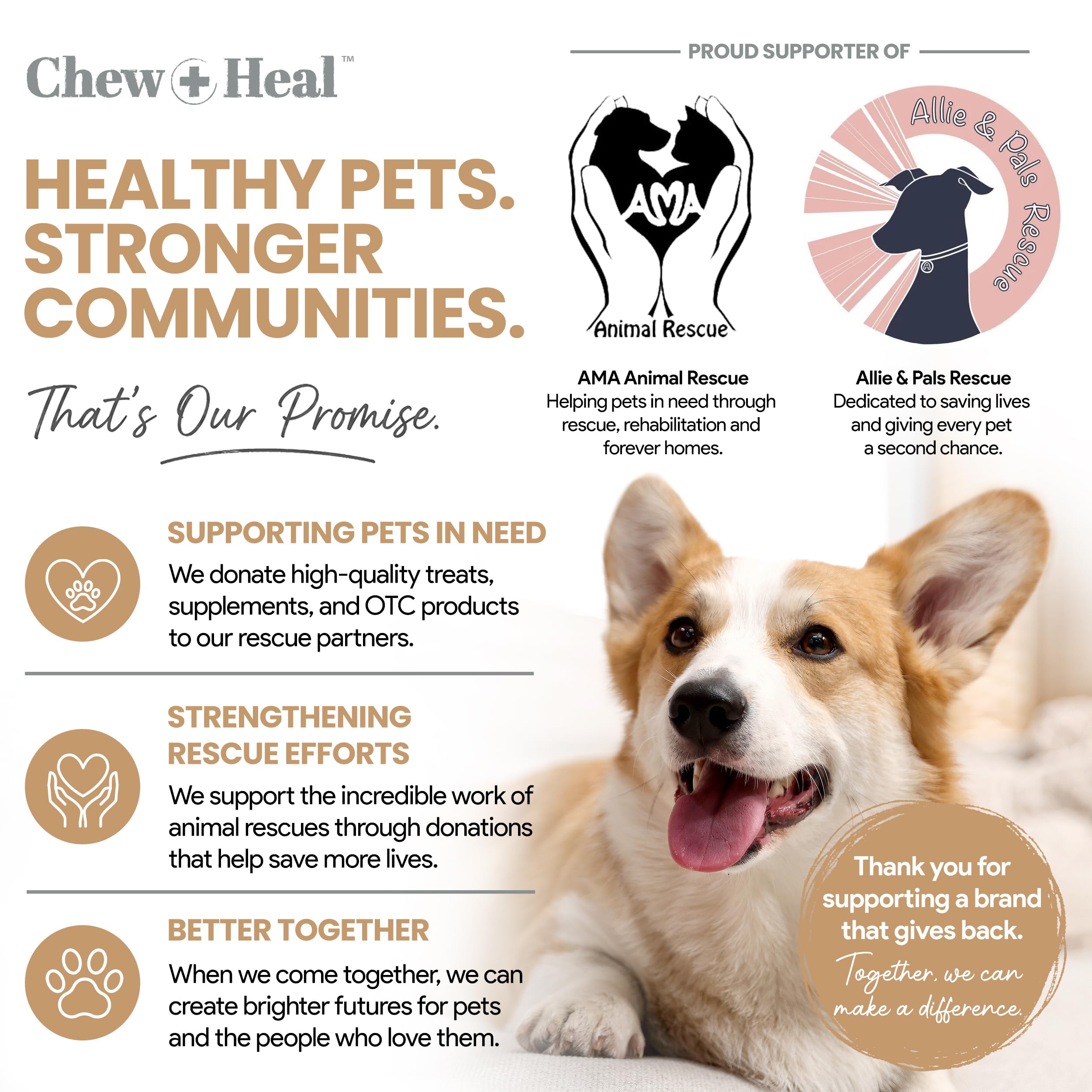 Chew + Heal Labs chien mange friandise montrant acceptation facile