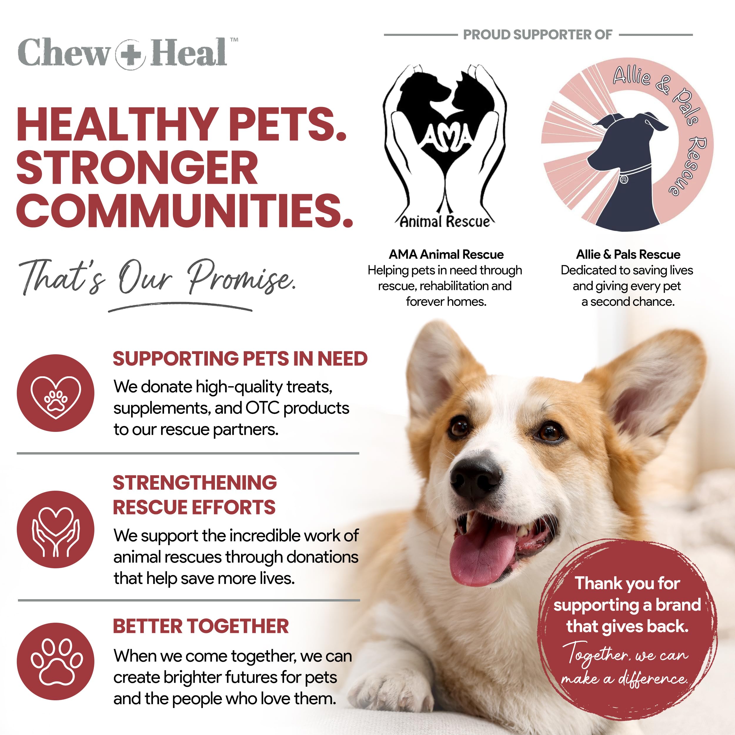 Chew + Heal Labs chien mange mastic en extérieur pour prise agréable