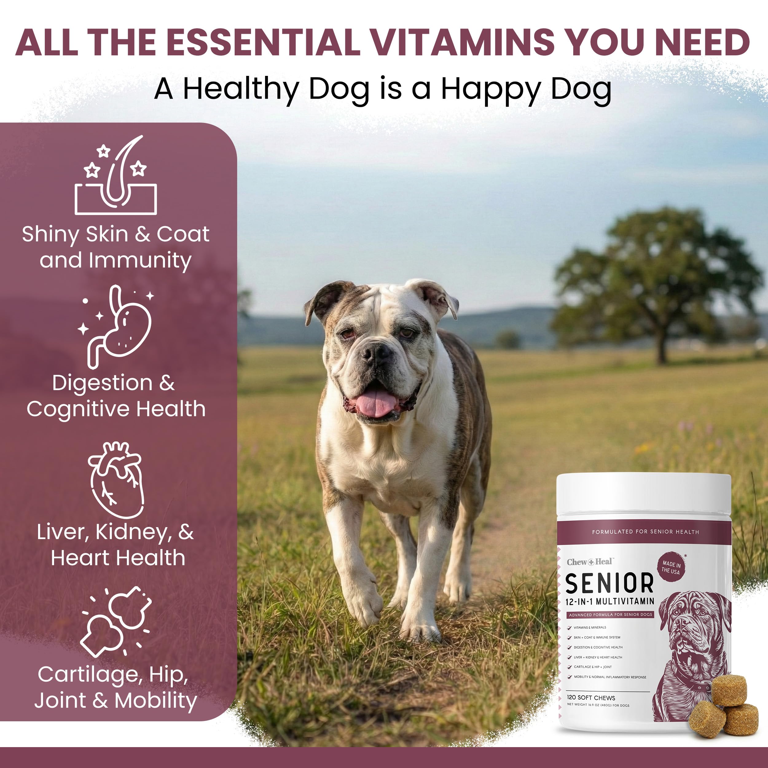Chew + Heal Labs chien acceptant la friandise pour administration facile