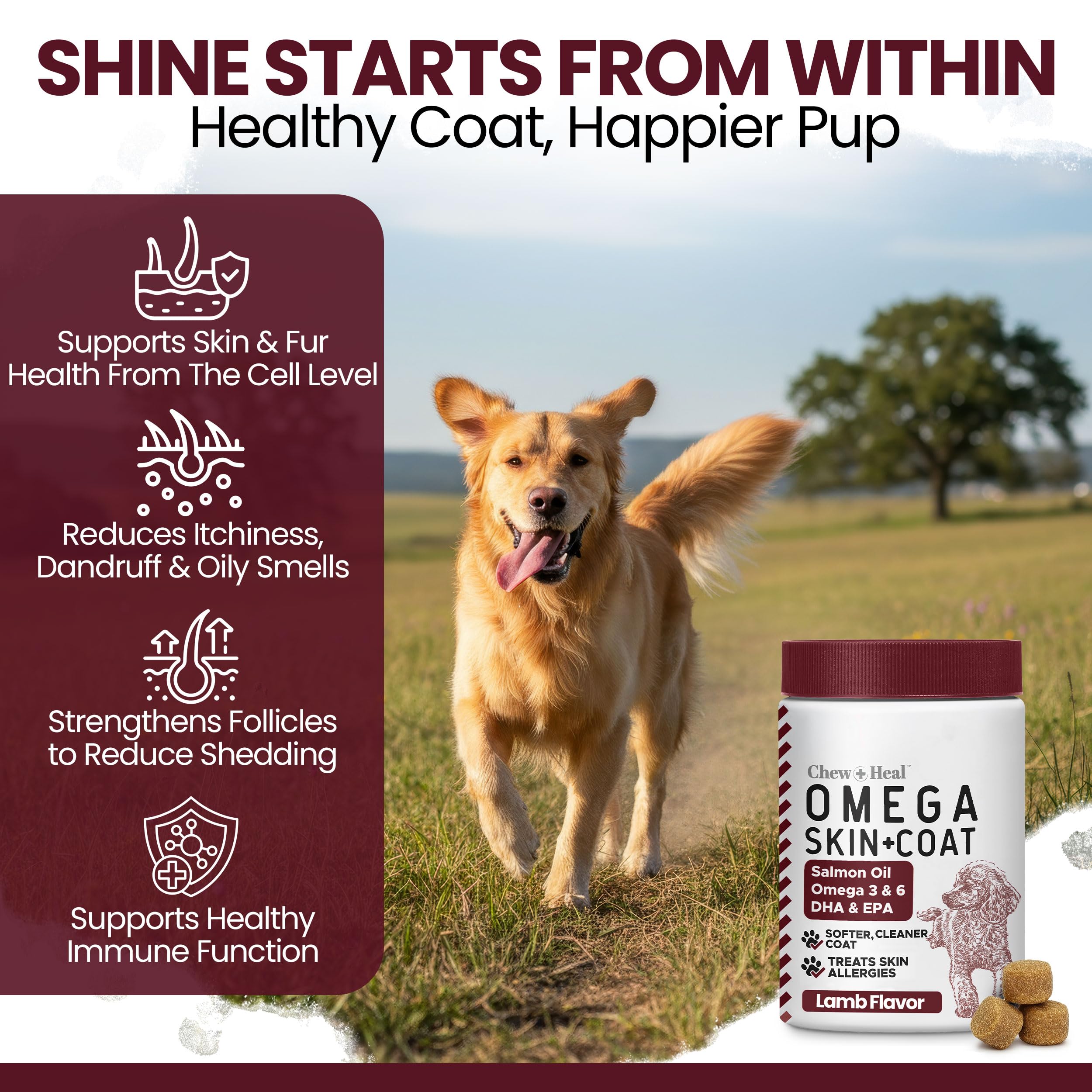 Chew + Heal Labs chiot acceptant une gâterie goût agneau, administration aisée