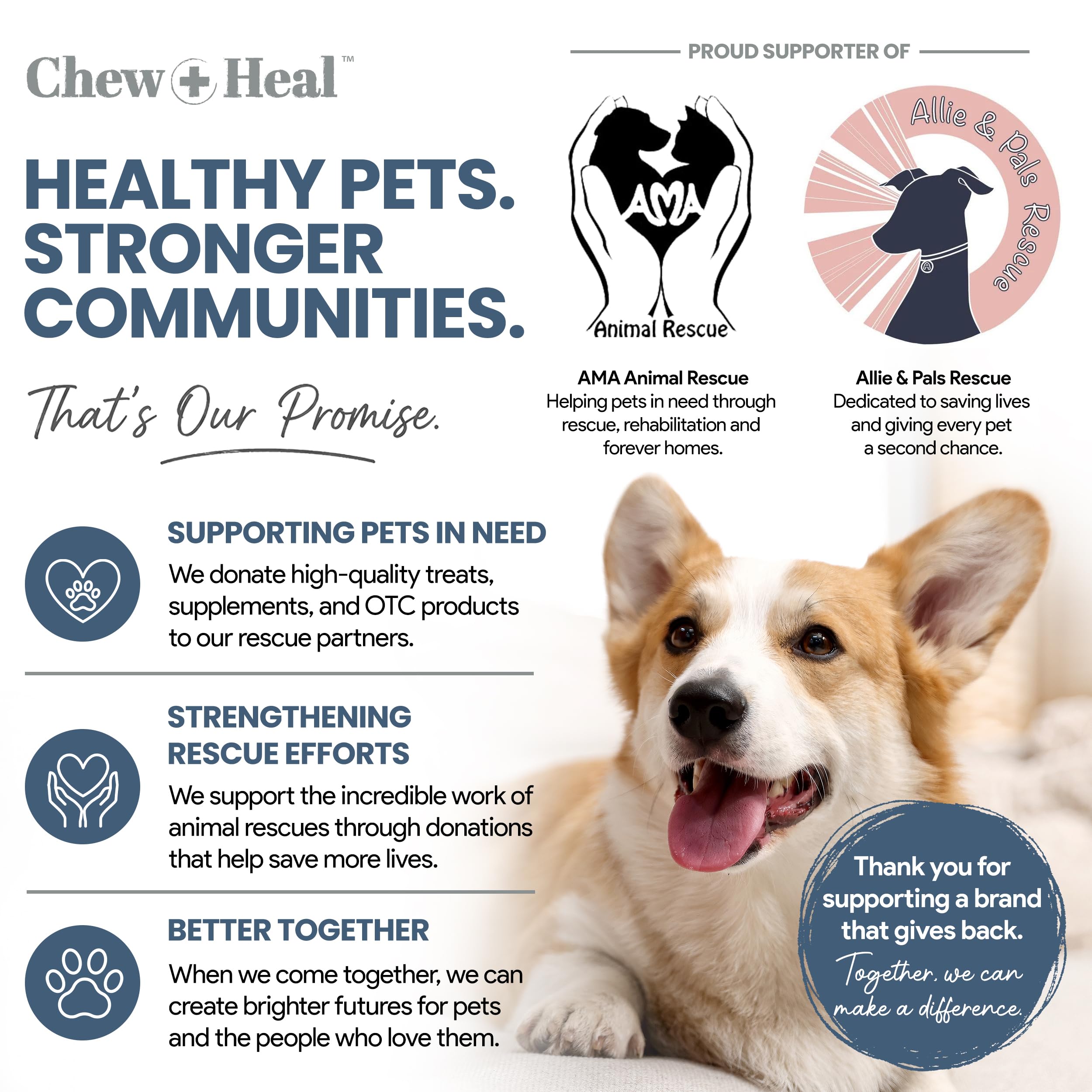 Chew + Heal Labs chien apprécie croquette en situation réelle, acceptation élevée