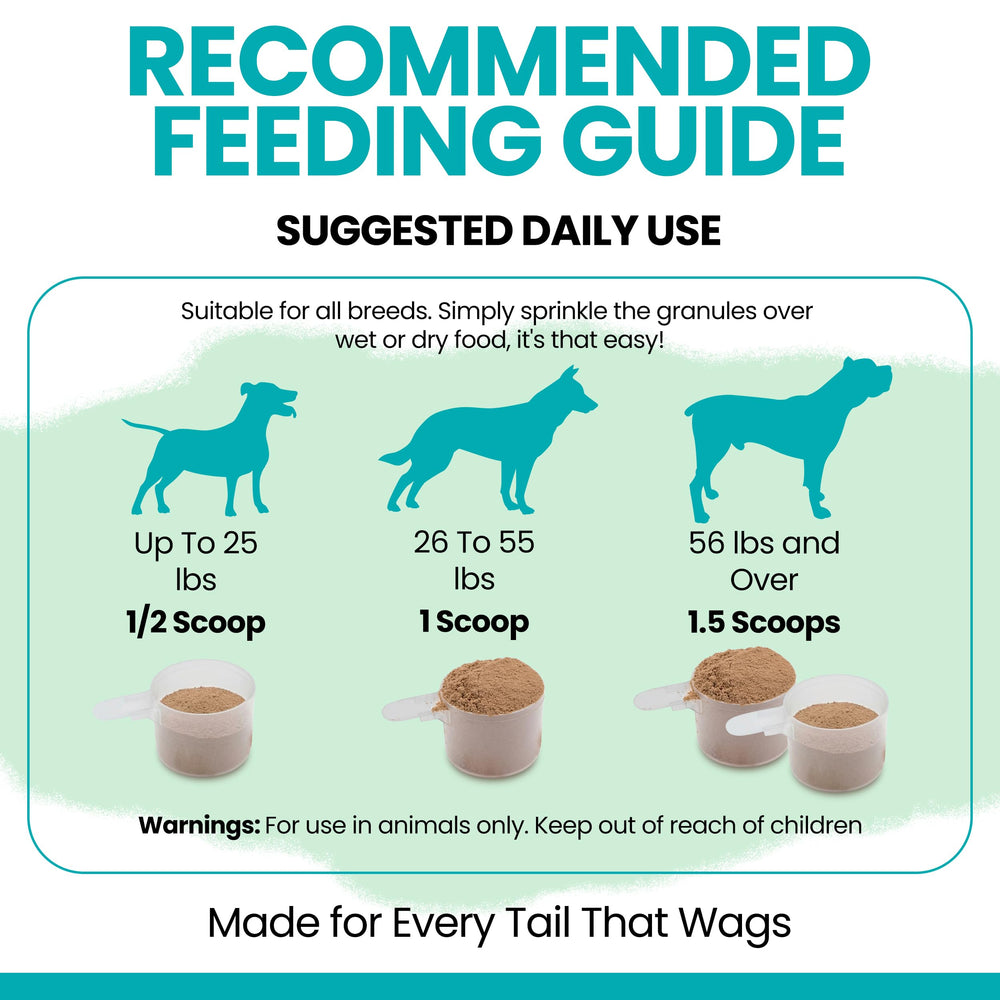 Chew + Heal Labs chien dégustant un repas enrichi pour pelage et bien‑être
