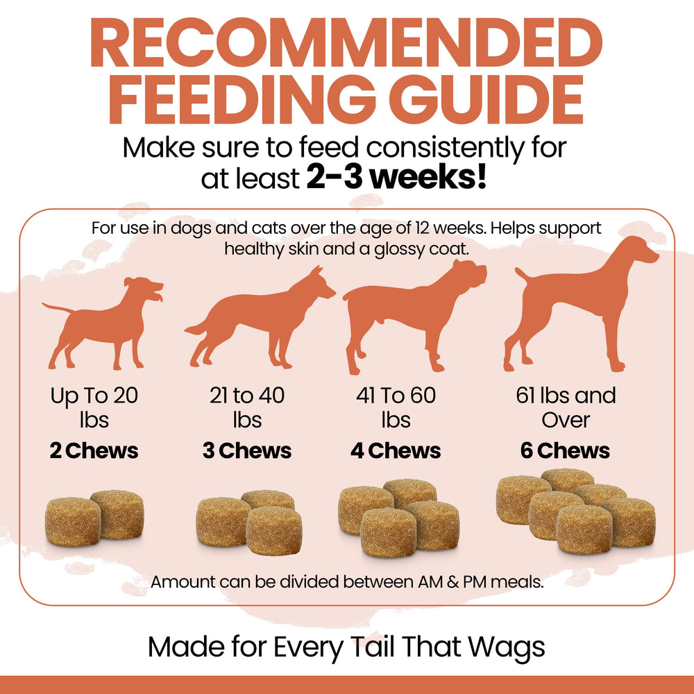 Chew + Heal Labs pastille à côté d'une pièce pour comparaison de taille