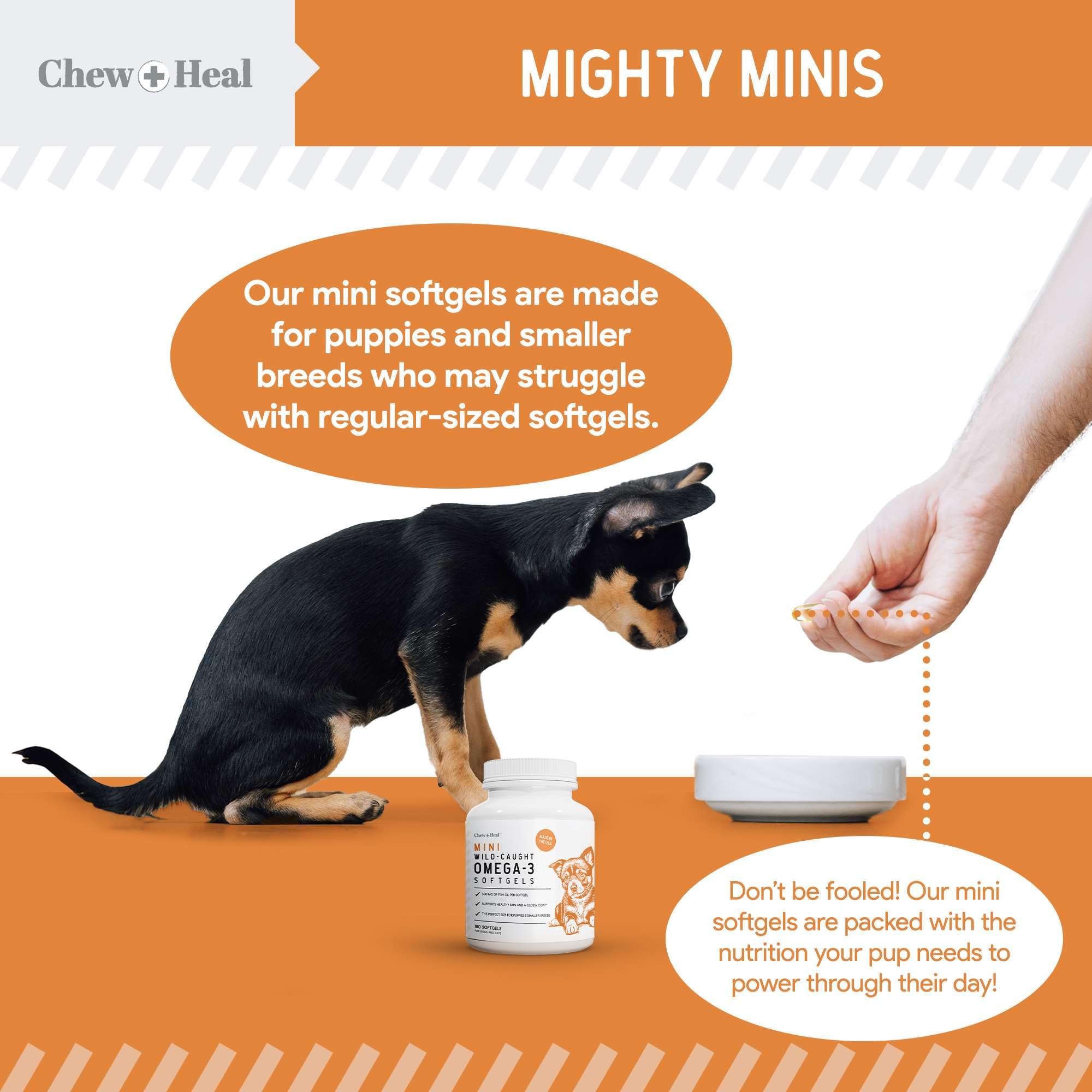 Chew + Heal Labs flacon fermé dans armoire montrant conservation recommandée