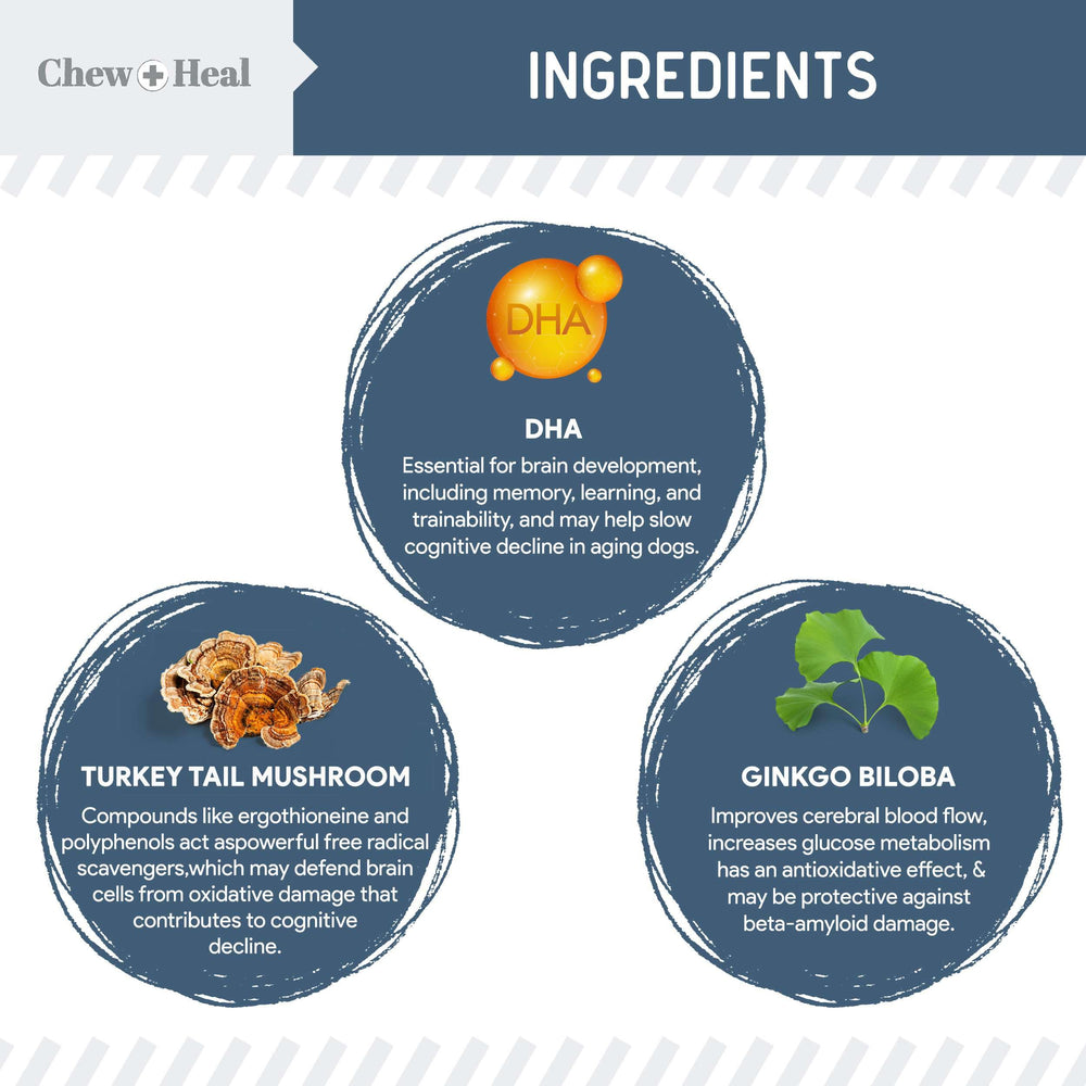 Chew + Heal Labs gros plan sur texture de croquette molle, mastication aisée pour seniors