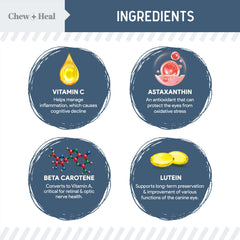 Chew + Heal Labs croquette dans la main pour visualiser la taille, dosage simple