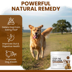 Chew + Heal Labs friandise seule sur fond neutre illustrant la taille et la forme