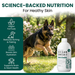 Chew + Heal Labs goutte d'huile claire illustrant texture légère et pureté