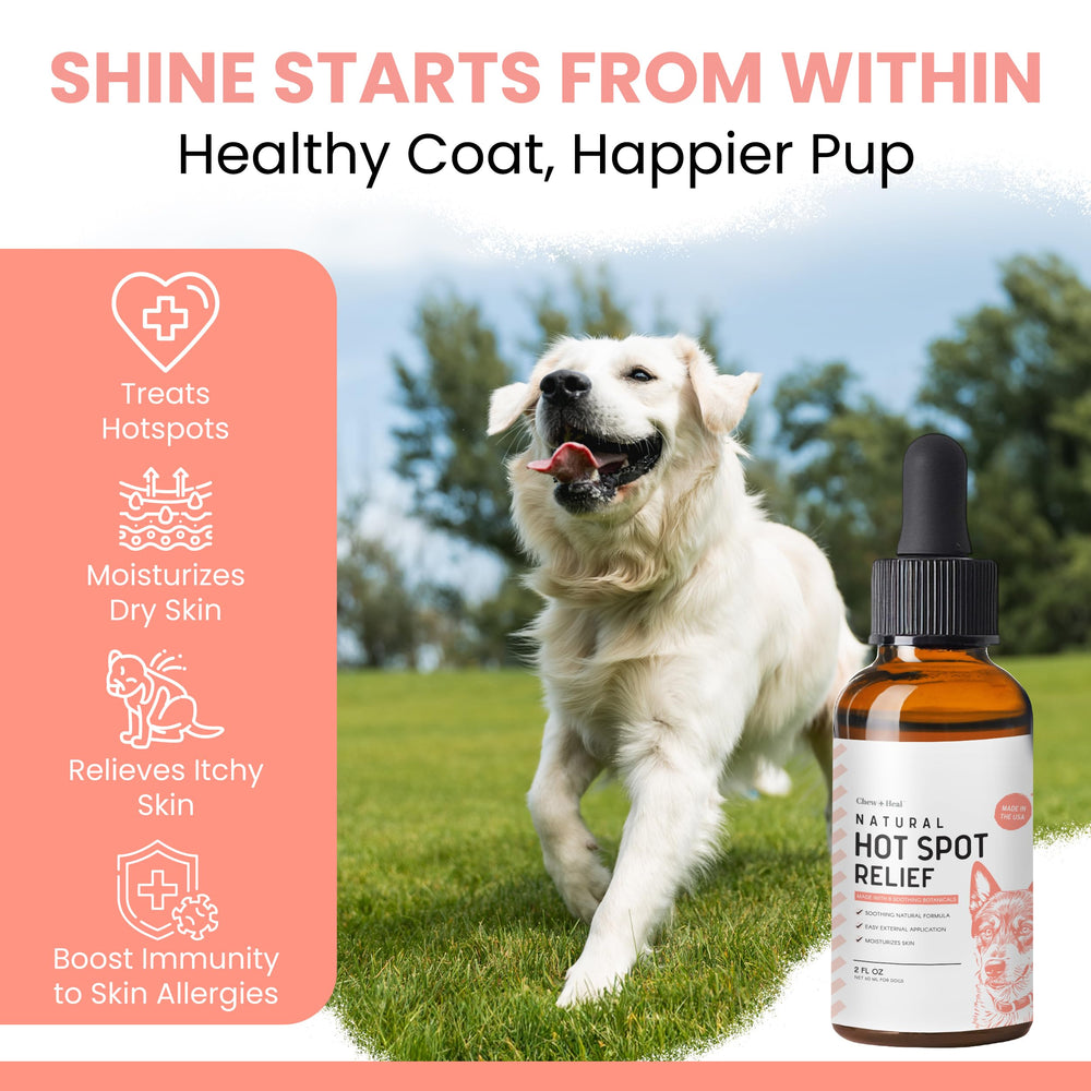 Chew + Heal Labs gouttes appliquées sur la patte apaisent la zone et hydratent